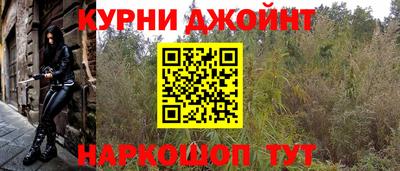 шишки Ярославль