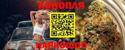 шишки Ярославль