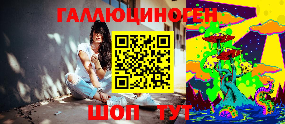 Галлюциногенные грибы Psilocybine cubensis Астрахань