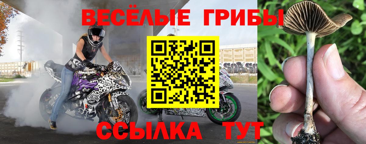 Галлюциногенные грибы GOLDEN TEACHER  Вход с VPN  Галлюциногенные грибы Cubensis  Астрахань 